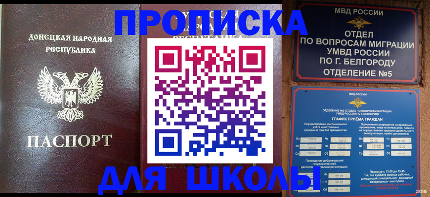 прописка для работы в Кольчугино